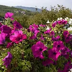 Cascina La Corte Bed & Breakfast Neive