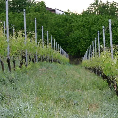 Cascina La Corte Neive