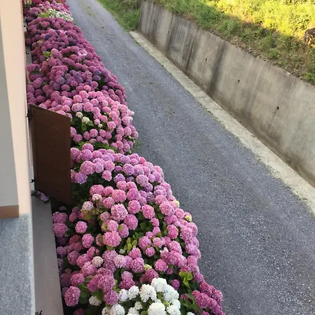 فندق مبيت وإفطار Cascina La Corte