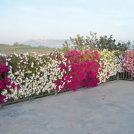 Cascina La Corte نيف