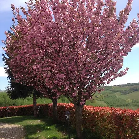 Cascina La Corte فندق مبيت وإفطار نيف