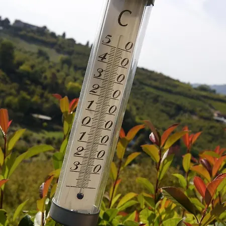 Cascina La Corte Couette-café Neive