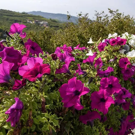 Cascina La Corte Nocleg ze śniadaniem Neive