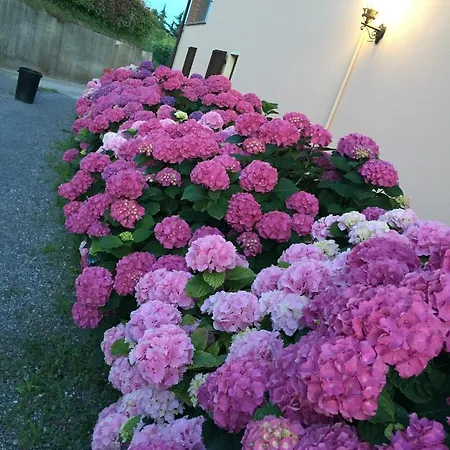 فندق مبيت وإفطار Cascina La Corte