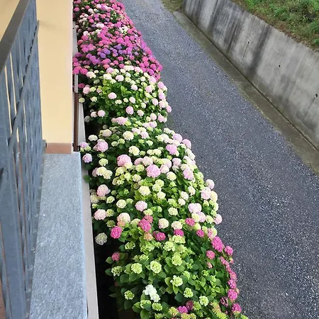 فندق مبيت وإفطار Cascina La Corte 3*